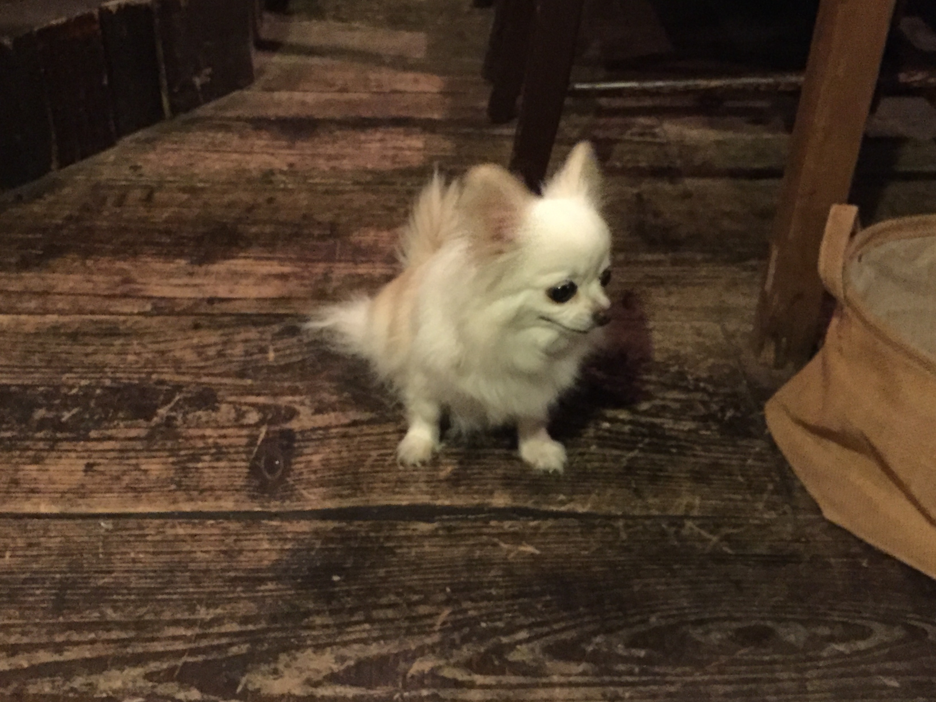 廃バッテリー 廃バッテリー
